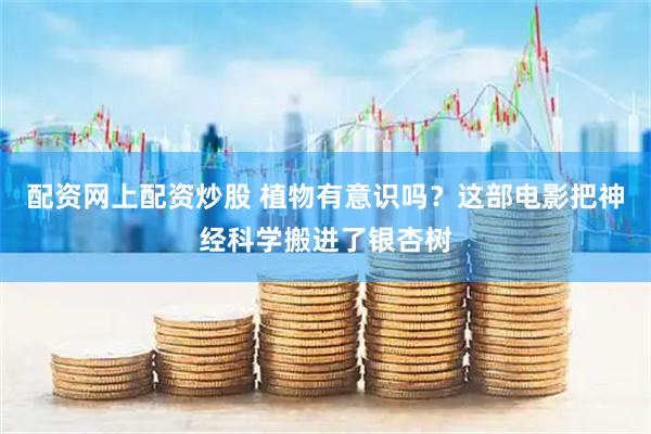配资网上配资炒股 植物有意识吗？这部电影把神经科学搬进了银杏树