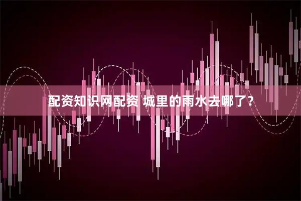 配资知识网配资 城里的雨水去哪了?